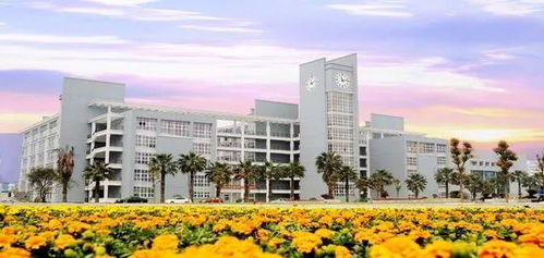 溫州科技職業學院與襄陽汽車職業技術學院的交流學習之旅