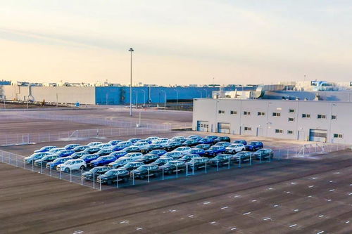 從襄陽到全球 長城汽車如何借力職業教育，邁出全球化最堅定一步