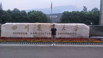 德源于心 技專于勤 全面解析溫江區燎原職業技術學校與襄陽汽車職業技術學院數控機械汽修專業